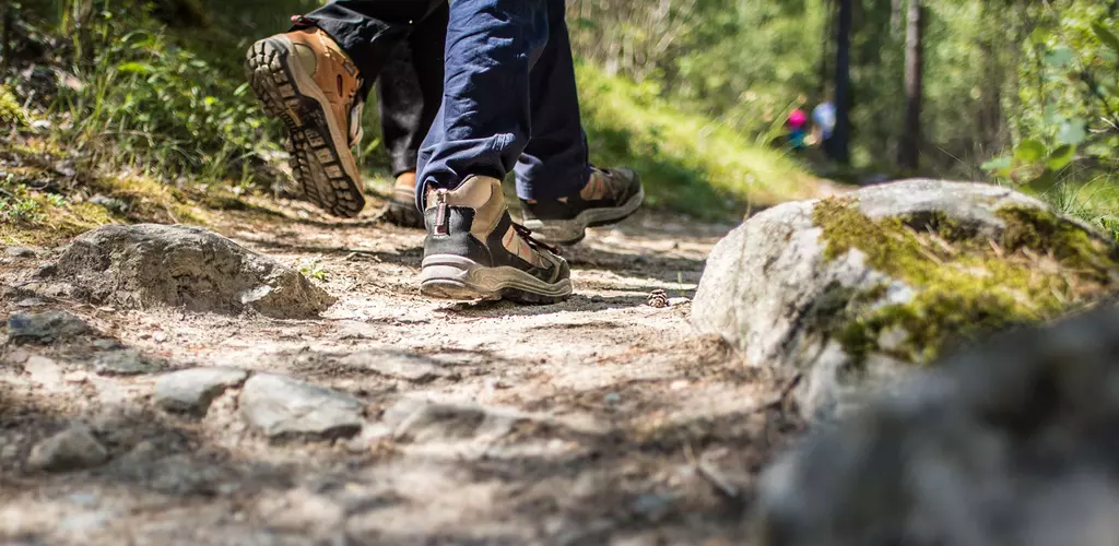 wandern-natur-sommer